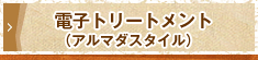 電子トリートメント